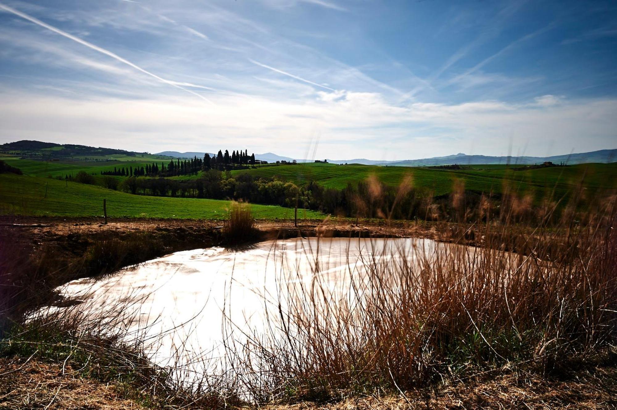 Agriturismo Il Casalino П'єнца Екстер'єр фото