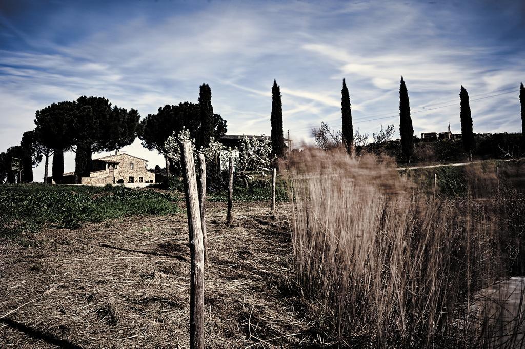 Agriturismo Il Casalino П'єнца Екстер'єр фото